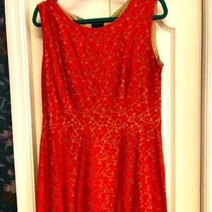 EnFocus Orange Lace Dress